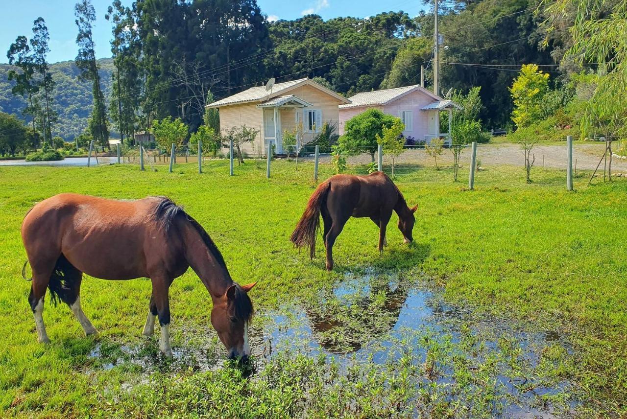 Отель Pousada Mato Verde - Urubici - Sc Экстерьер фото